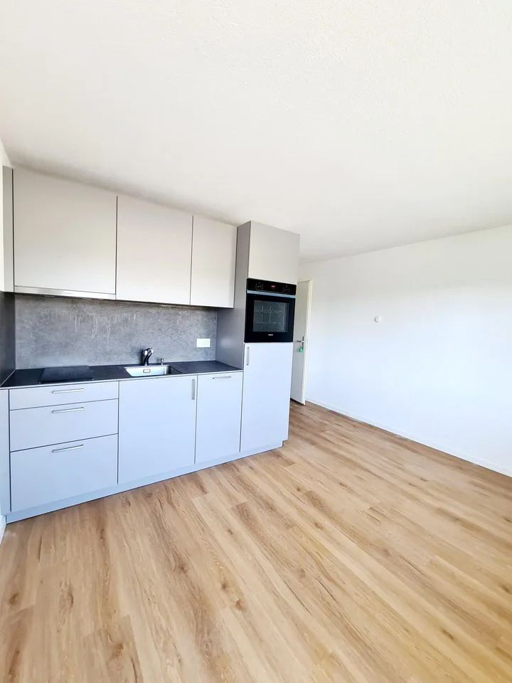 Appartement 2 pièces moderne avec balcon à Wil
