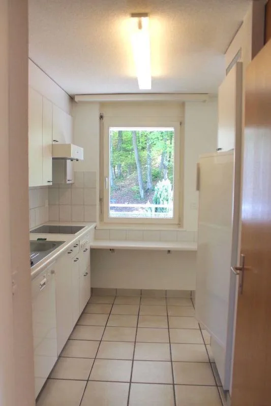 Sunny apartment on the edge of the forest with fixed additional costs