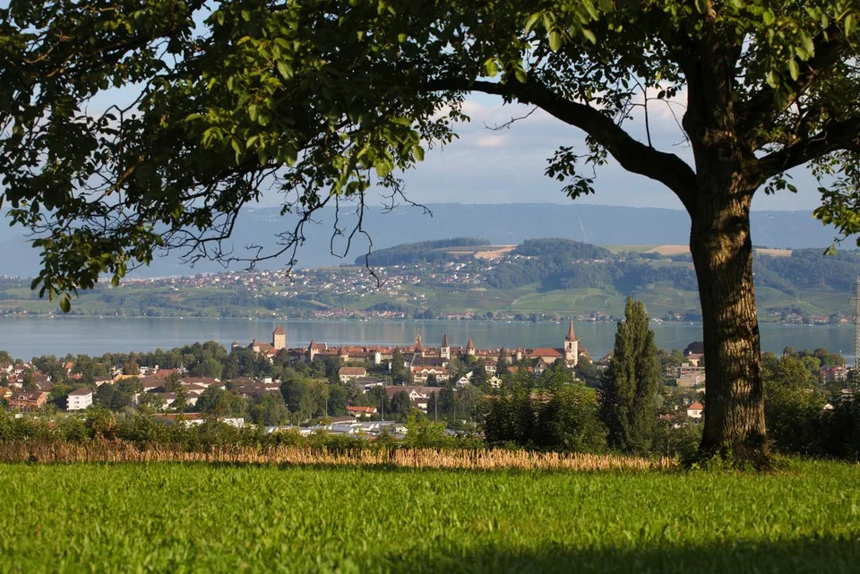 4.5 Zimmer Wohnung in Murten – Foto 13 von 14