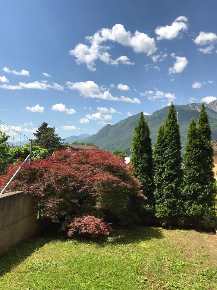 Schönes Haus in Wohngegend – Foto 12 von 24