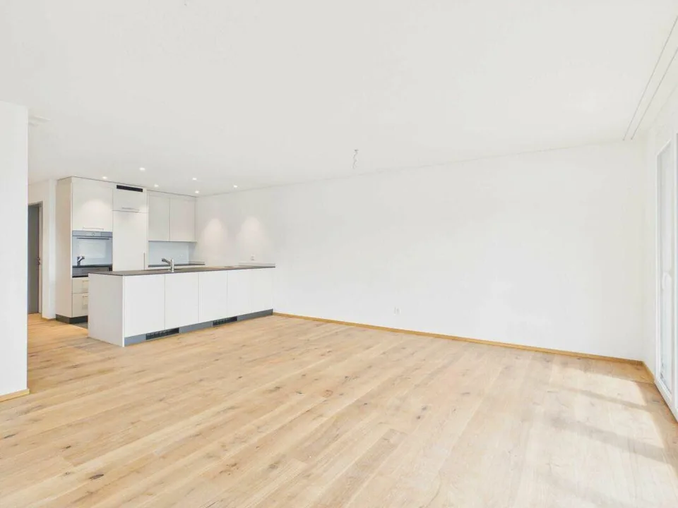 Neubau - Erstbezug / 4½-Zimmerwohnung OG1