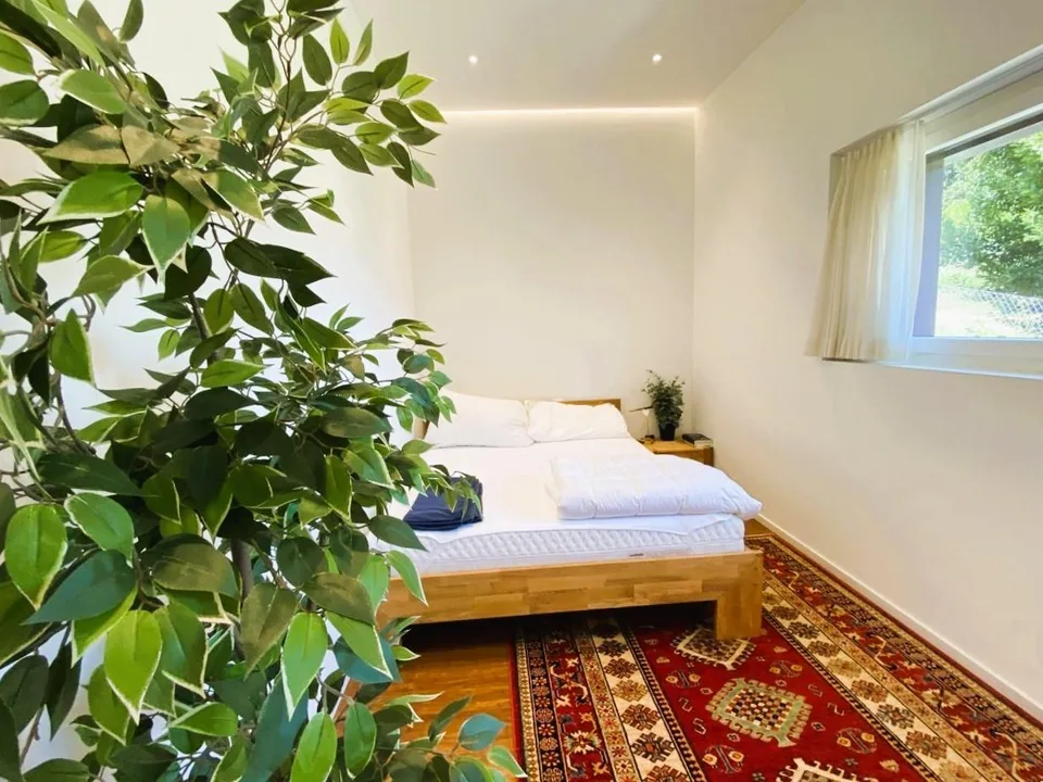 PRESTIGIOSA VILLA UNIFAMILIARE – foto 11 di 13