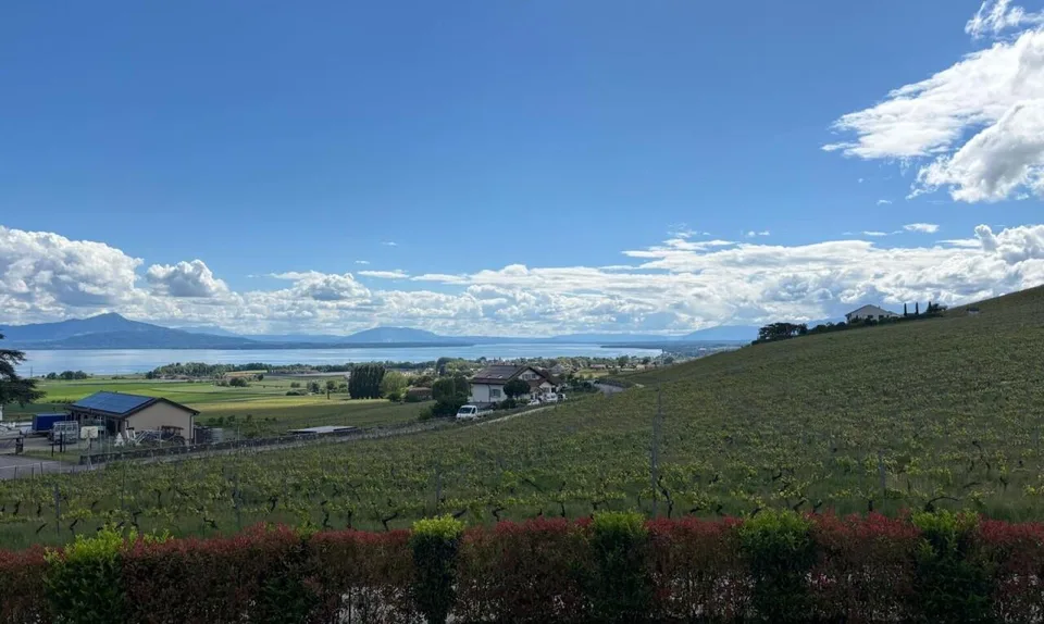 Casa contemporanea con volumi eccezionali e vista sul lago e sulle Alpi
