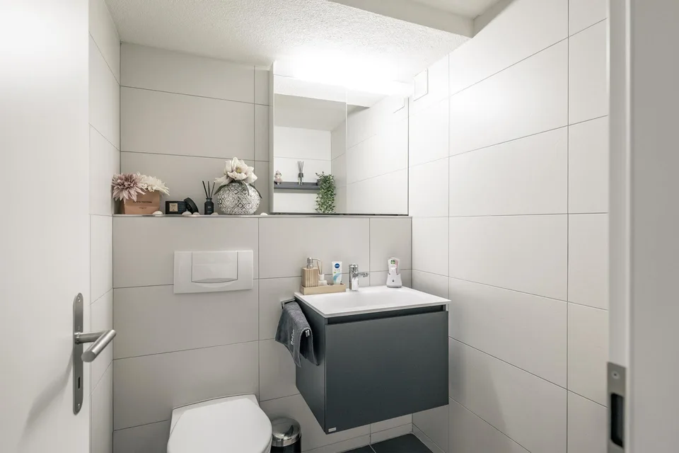 CASA A SCHIERA DI 6.5 LOCALINEL CUORE DI WERDENBERG – foto 19 di 33