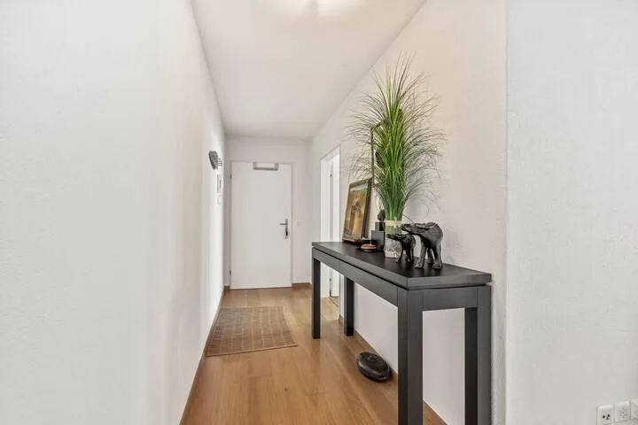 APPARTAMENTO DI 2,5 LOCALI CON VISTA LAGO E PRIVILEGI FISCALI 1