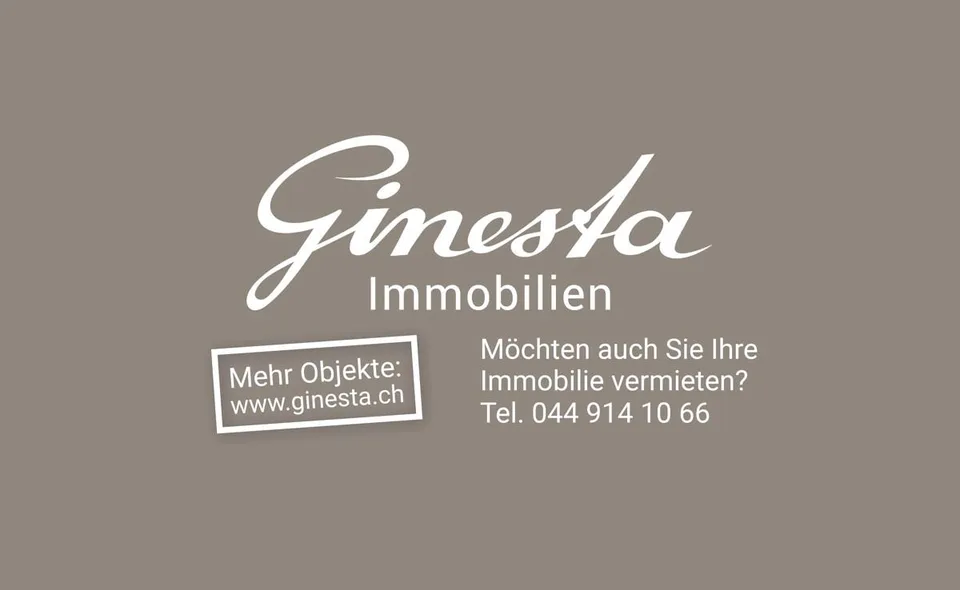 Einsiedeln: appartamento-mansarda ristrutturato di recente nel centro storico