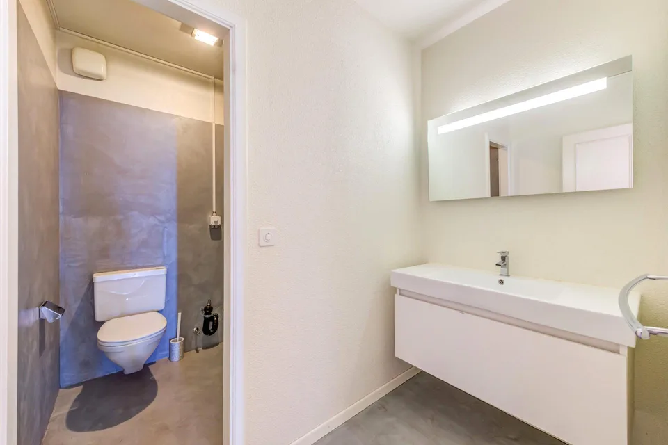Votre logement à Pully avec vue panoramique ! – foto 10 di 12