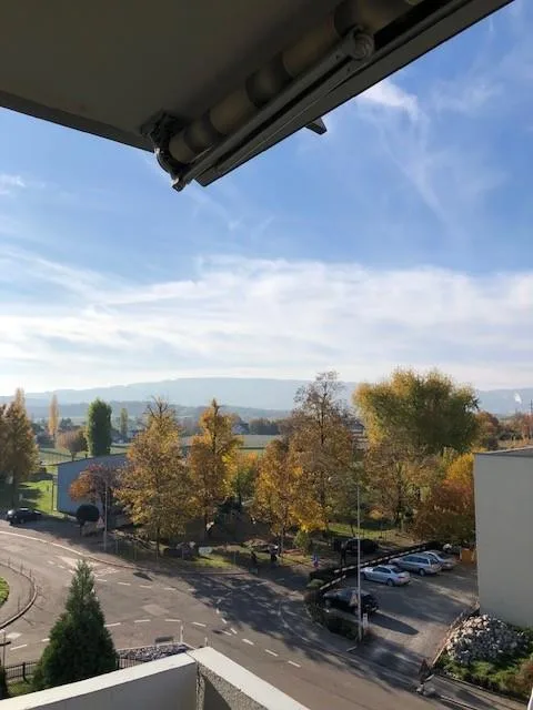 Schöne grosse Attikawohnung mit riesiger Terrasse