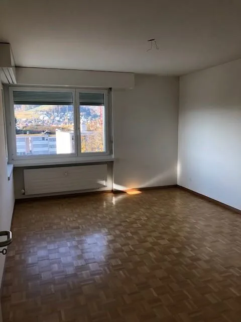 Schöne grosse Attikawohnung mit riesiger Terrasse