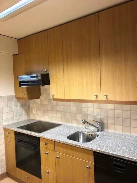 Schöne grosse Attikawohnung mit riesiger Terrasse