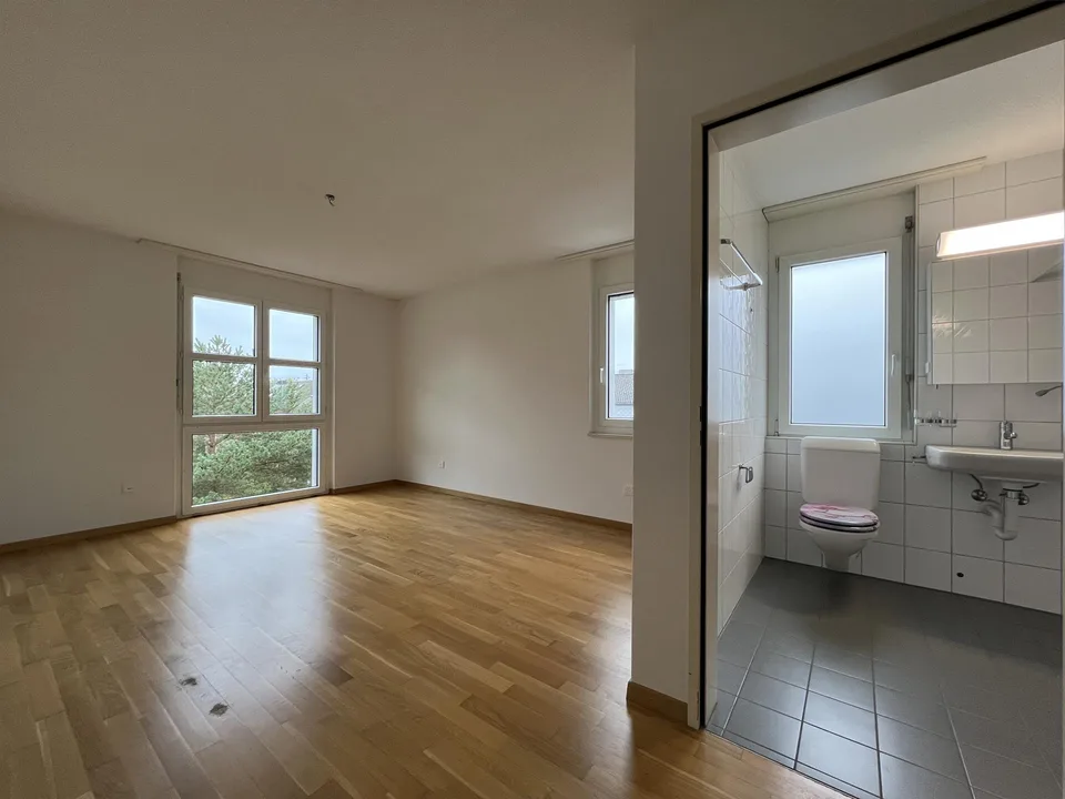 Helle 4.5-Zimmerwohnung / App. 4.5 pièce lumineux