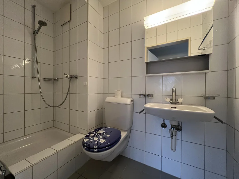 Helle 4.5-Zimmerwohnung / App. 4.5 pièce lumineux