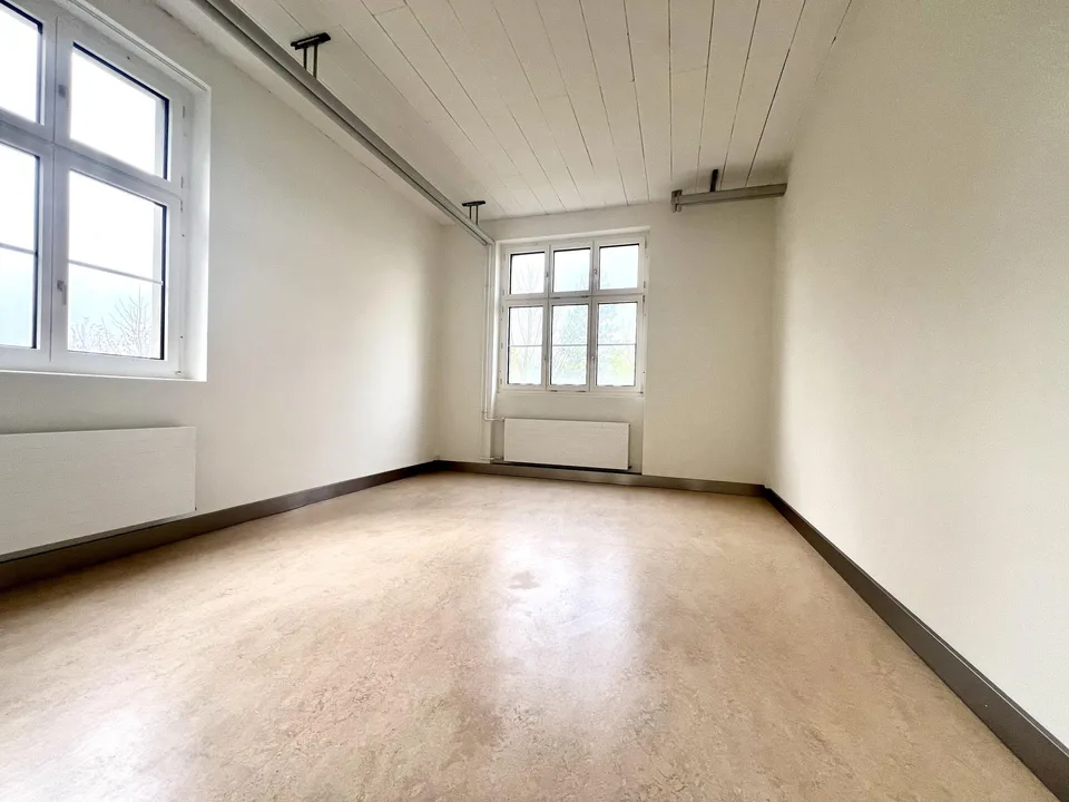 Grüsszügiges Loft im Urban Style