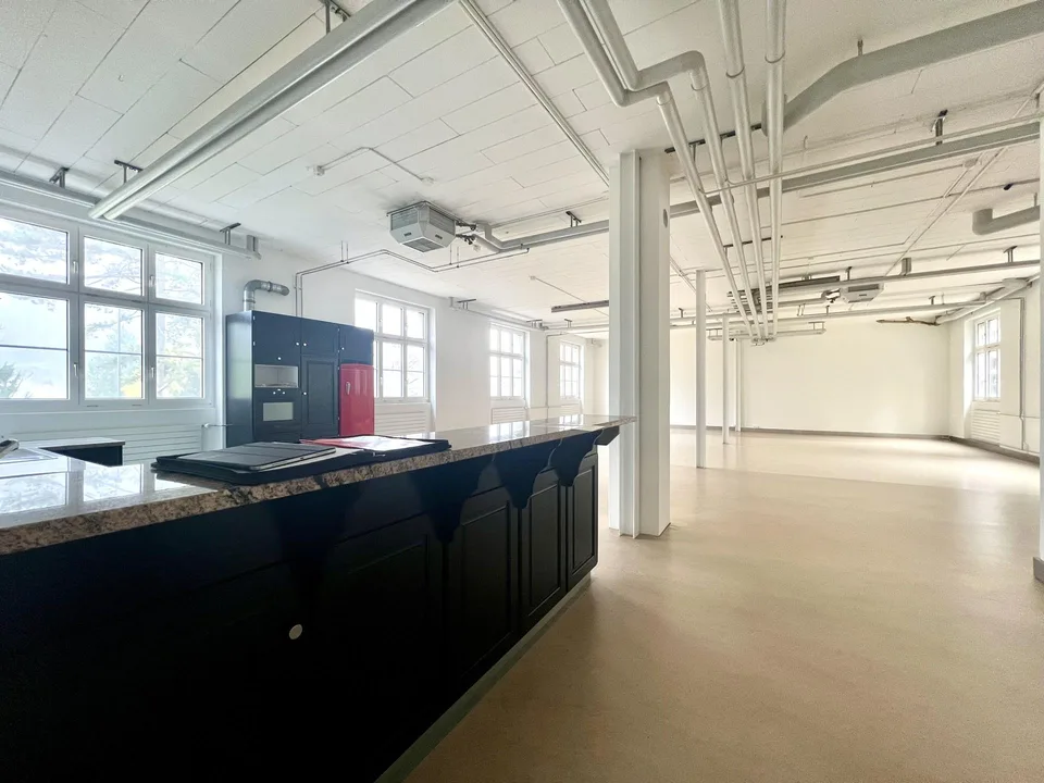Grüsszügiges Loft im Urban Style