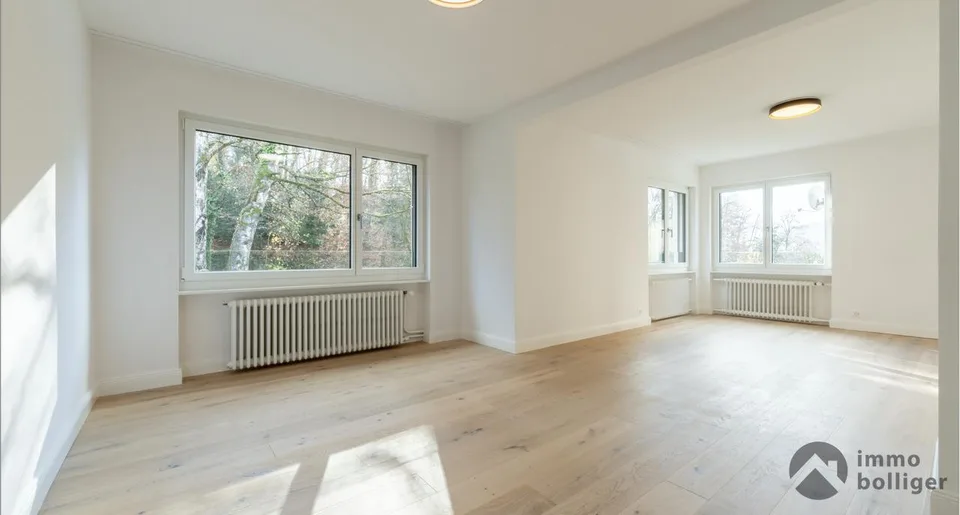 Casa modernamente ristrutturata in una posizione ambita a Olten