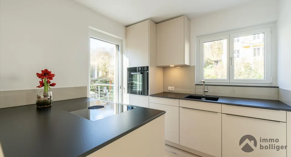 Casa modernamente ristrutturata in una posizione ambita a Olten