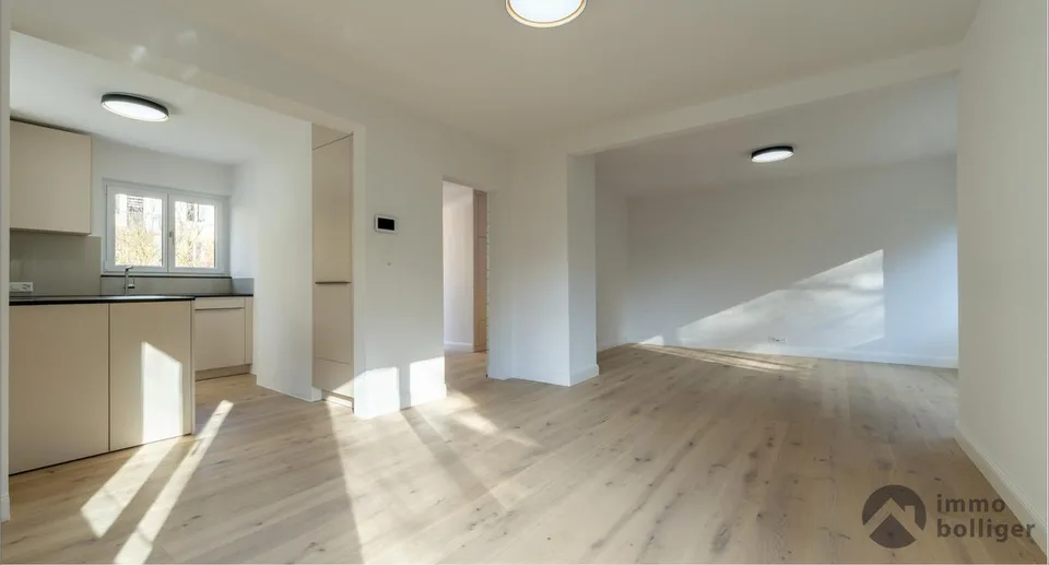Casa modernamente ristrutturata in una posizione ambita a Olten