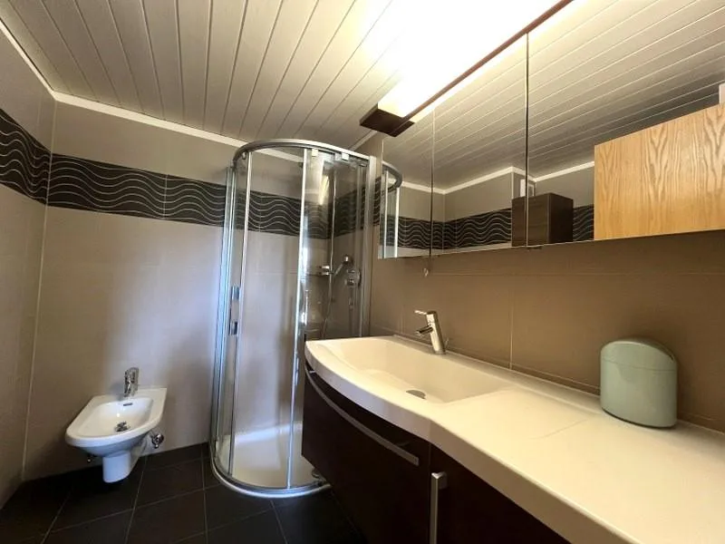 SPAZIOSO APPARTAMENTO 3.5 LOCALI CON SPLENDIDA VISTA LAGO – foto 12 di 13