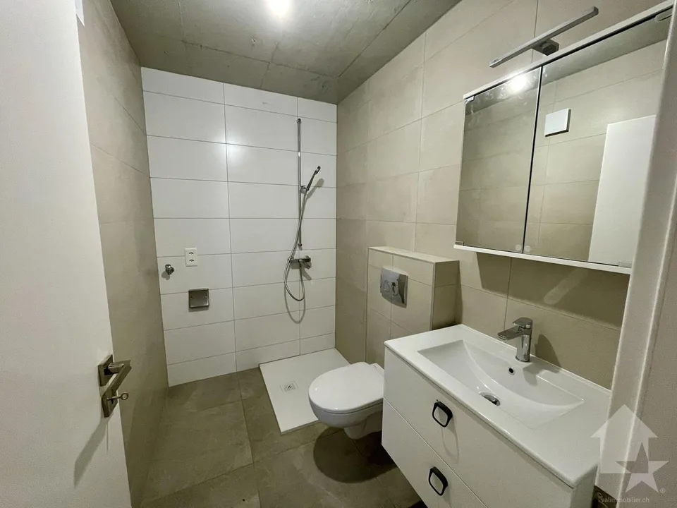 Appartement duplex 2.5 pces dans maison de village totalement rénovée – photo 6 sur 13