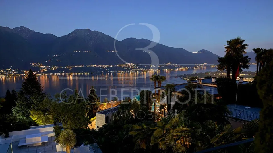 Palm3. Zwischen Palmen. Licht. Lago Maggiore. – Foto 8 von 8