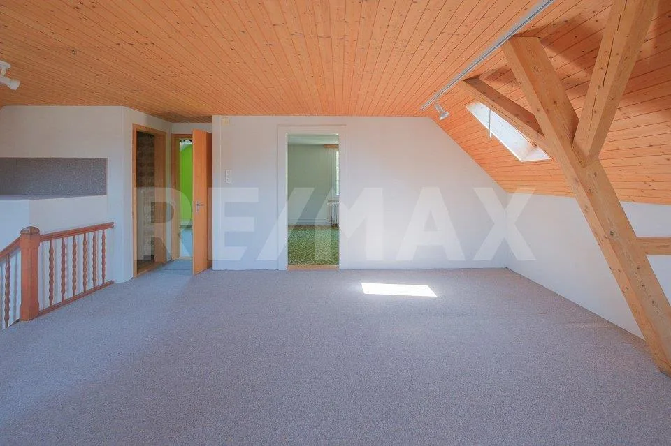 Freistehendes 4.5 Zimmer-Haus mit separatem, vielseitigem Nebengebäude