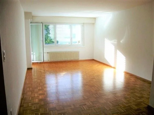 Wunderschöne Wohnung sucht neuen Mieter/in