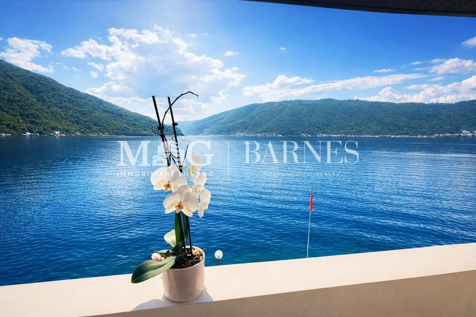 Lugano: Villa pieds-dans-l'eau vista lago con darsene | 2 residenza – Foto 14 von 16