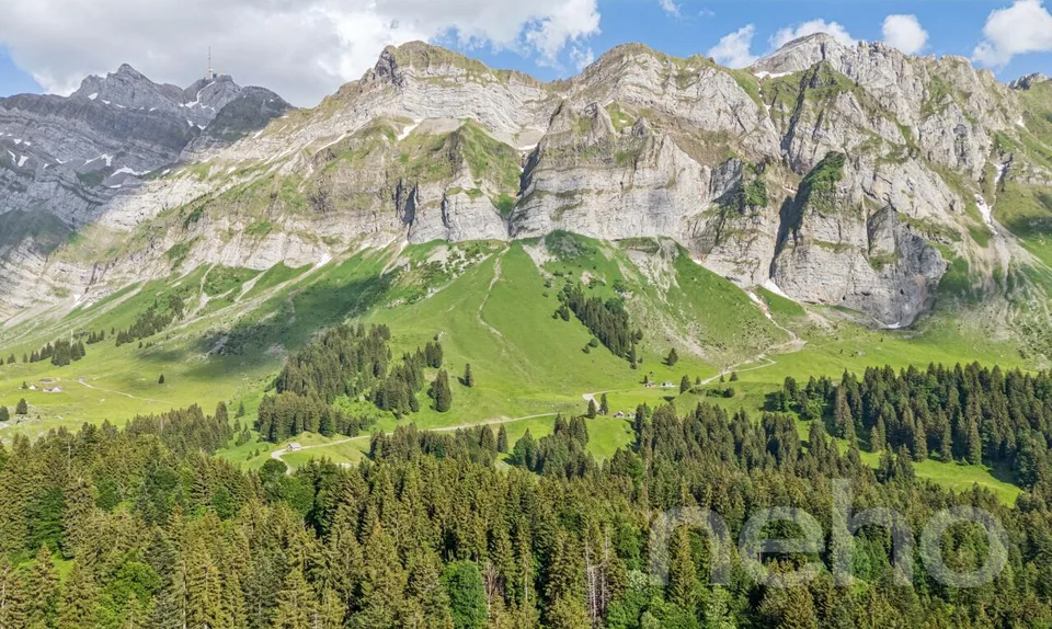 Casa unifamiliare di 6,5 locali in posizione naturale ai piedi del Säntis – foto 10 di 18