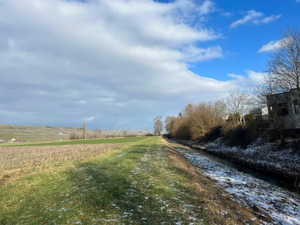 Doppeleinfamilienhaus mit Sicht in die Weinberge – Foto 11 von 13