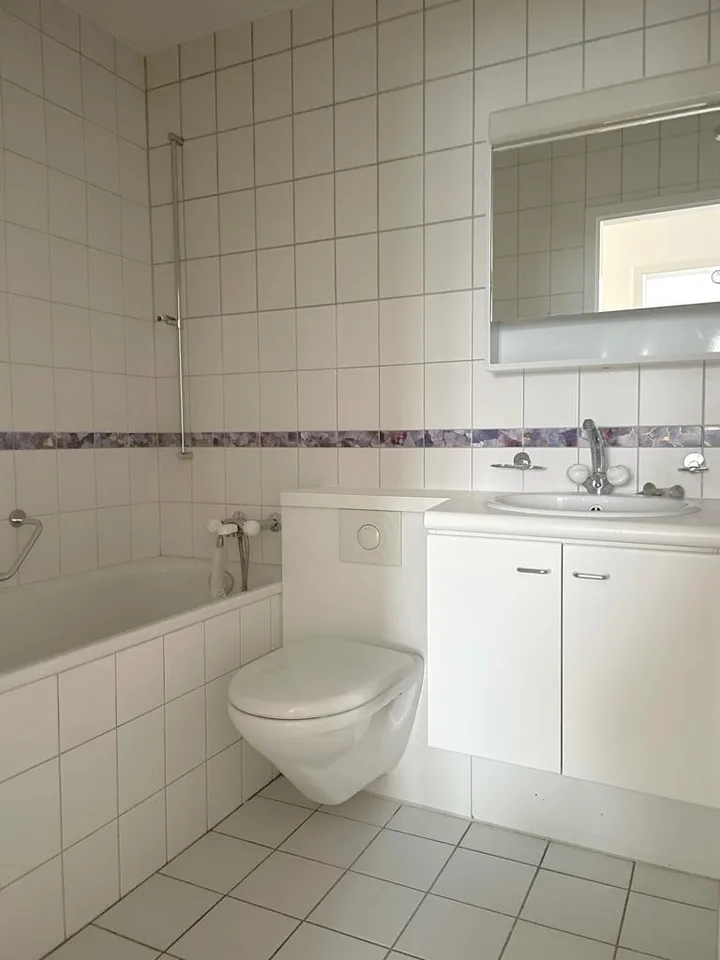 APPARTAMENTO SPazioso VICINO A STEDTLI LAUFEN – foto 7 di 7