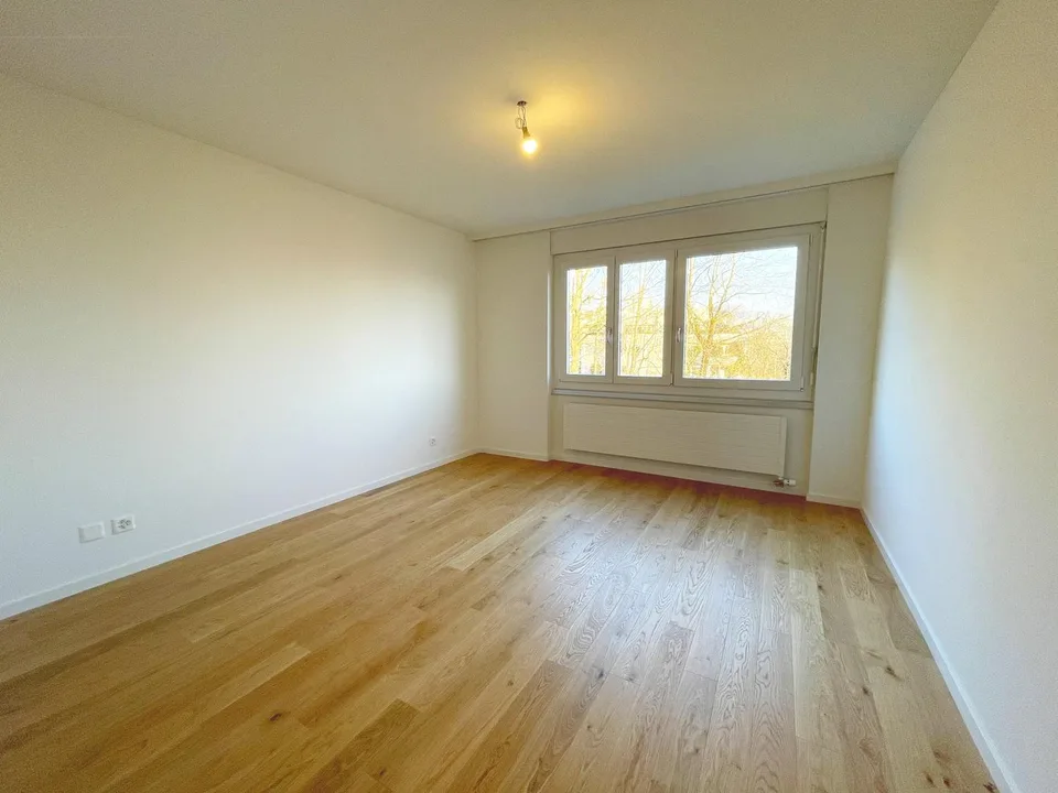 Attikawohnung mit grosser Terrasse und sensationeller Weitsicht