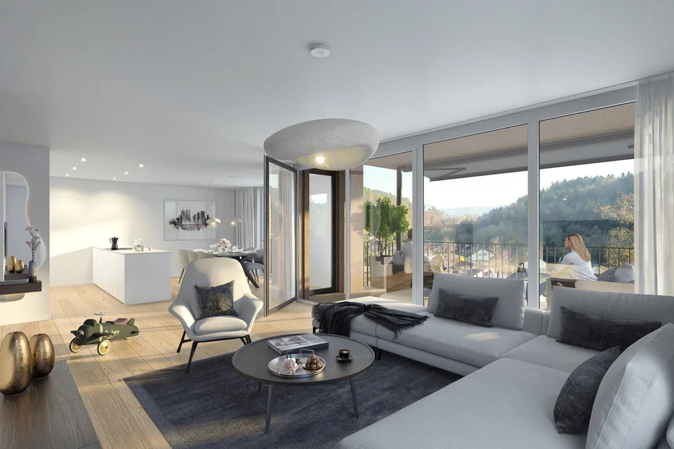 Neue, grosszügige 5.5-Zimmer-Wohnung mit wunderbarer Aussicht in Schaffhausen