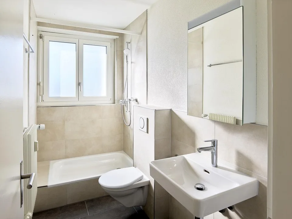 Bright 2.5 room apartment in Bern