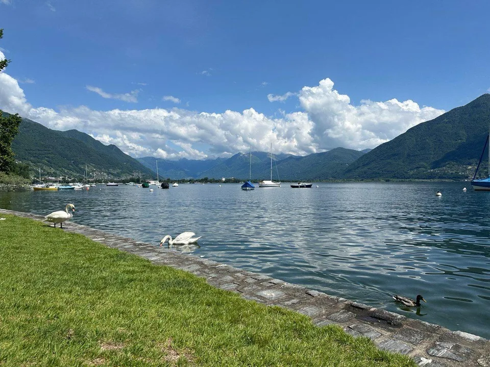 3.5 nah zum See / vicino al lago ZWEITWOHNSITZ – photo 18 sur 20