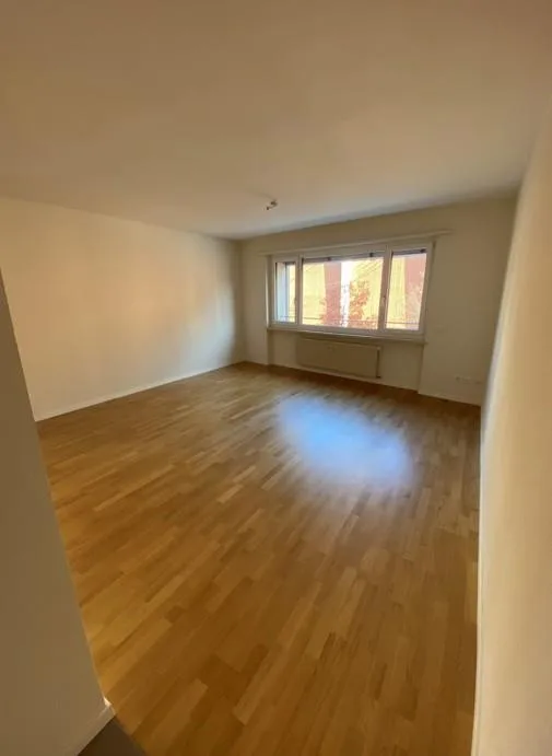 Your new apartment in Kleinbasel