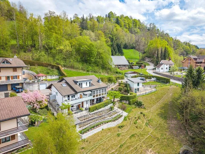 MONTE CASTELLO - FANTASTISCHES ANWESEN MIT NEBENGEBÄUDE UND WEINBERG
