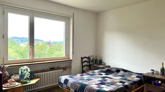 À vendre à Vacallo – photo 12 sur 13