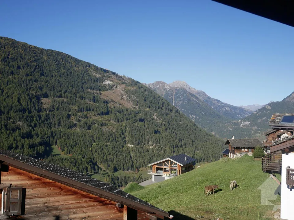 4,5 pièces, à rénover dans maison villageoise à Chandonne