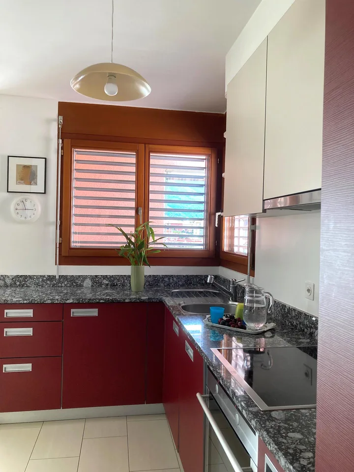 Appartement 4 ½ pièces avec jardin à Giubiasco – photo 11 sur 17