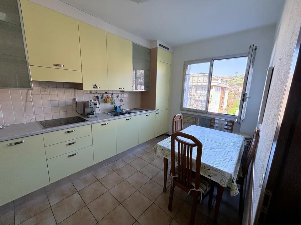 Ampio 3.5 locali con giardino condominiale ed in posizione str