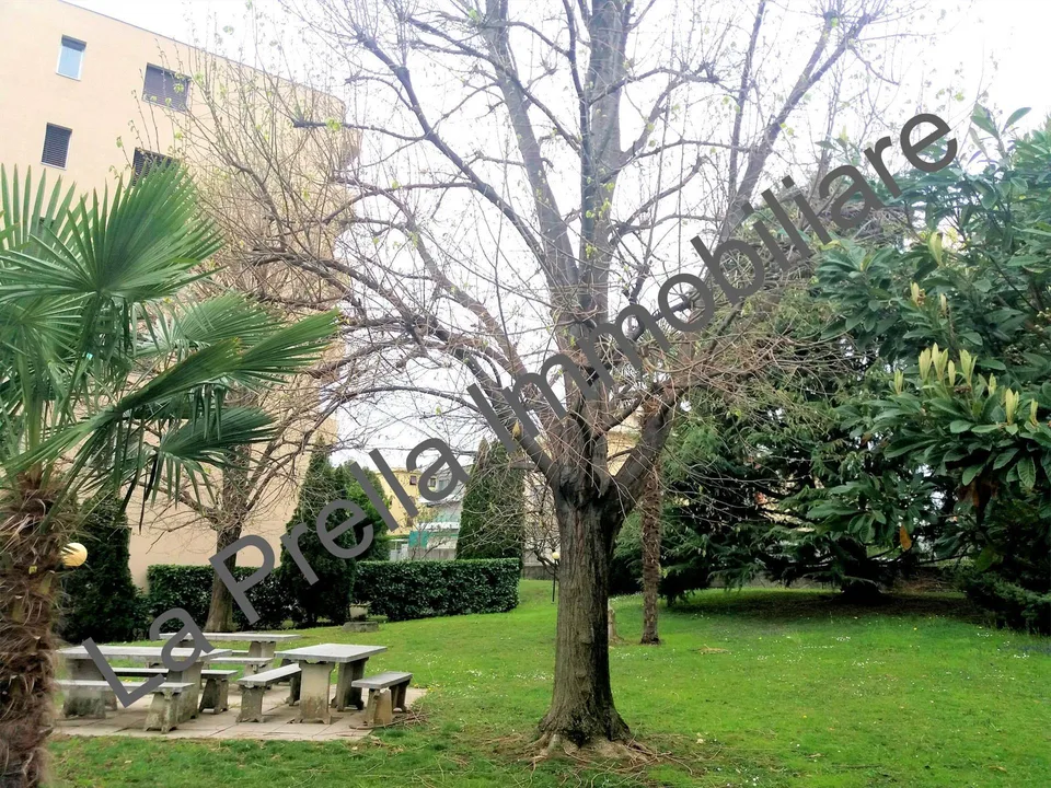 Ampio 3.5 locali con giardino condominiale ed in posizione str