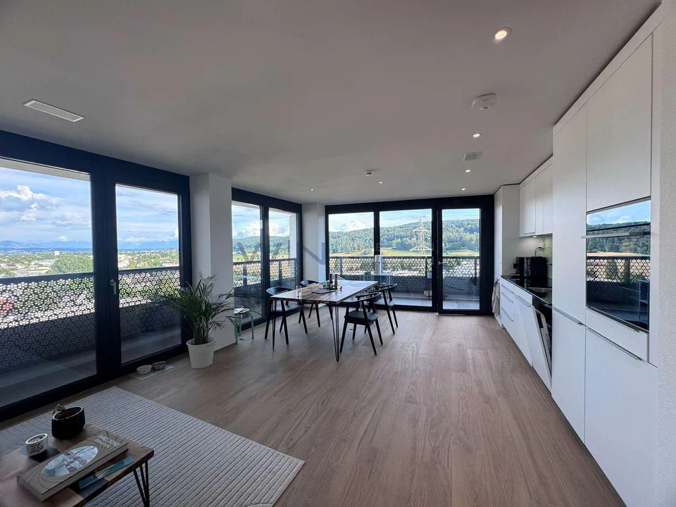 Penthouse di lusso sopra i tetti