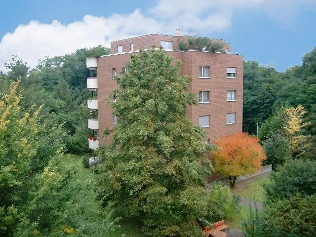 4.5 Zimmerwohnung in Bottmingen