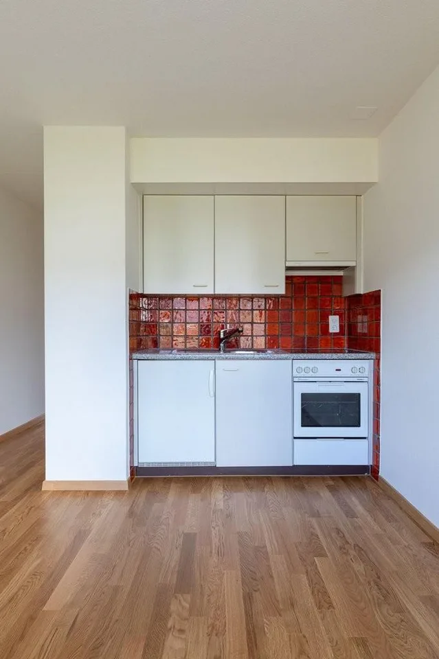 Seeblick & Sommerlicht - Ihre neue Wohnung in Männedorf