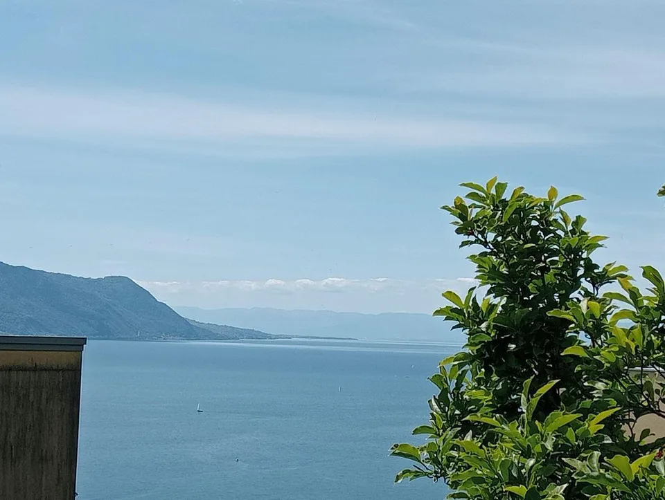 Appartement en rez avec vaste terrasse panoramique à Montreux