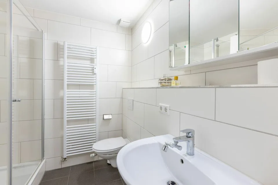 Direttamente sul Reno, ben mantenuto e pronto per l'occupazione – foto 15 di 24