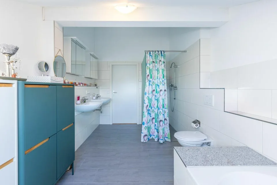 Direttamente sul Reno, ben mantenuto e pronto per l'occupazione – foto 20 di 24