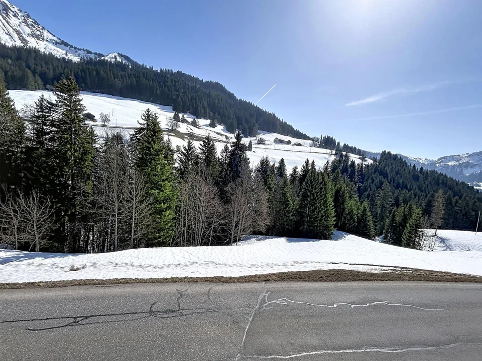 Chalet individuel de 5.5 pièces avec annexe à La Collombaz