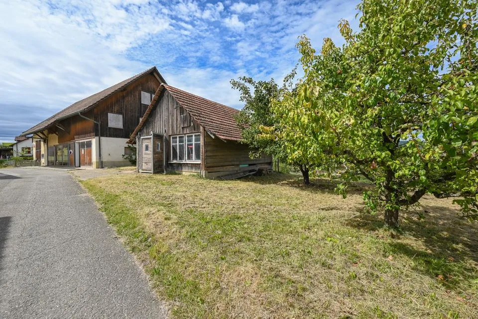Idyllisches Landhaus mit Charakter - Ihr Projekt im Grünen
