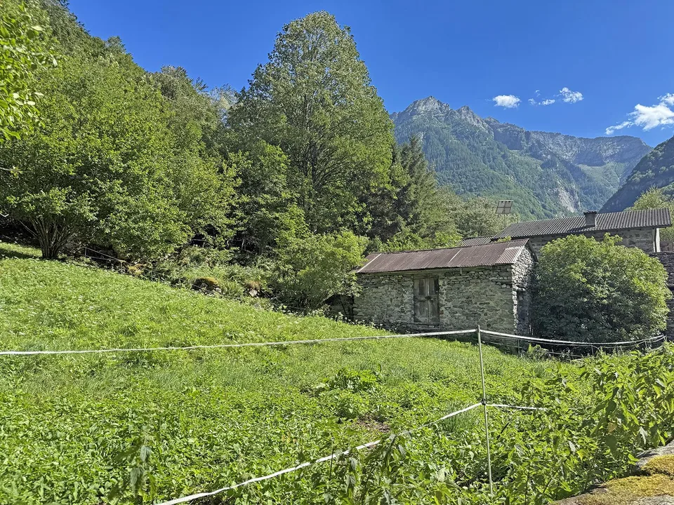 2 Rustici zur Renovierung mit Grundstück – Foto 10 von 17